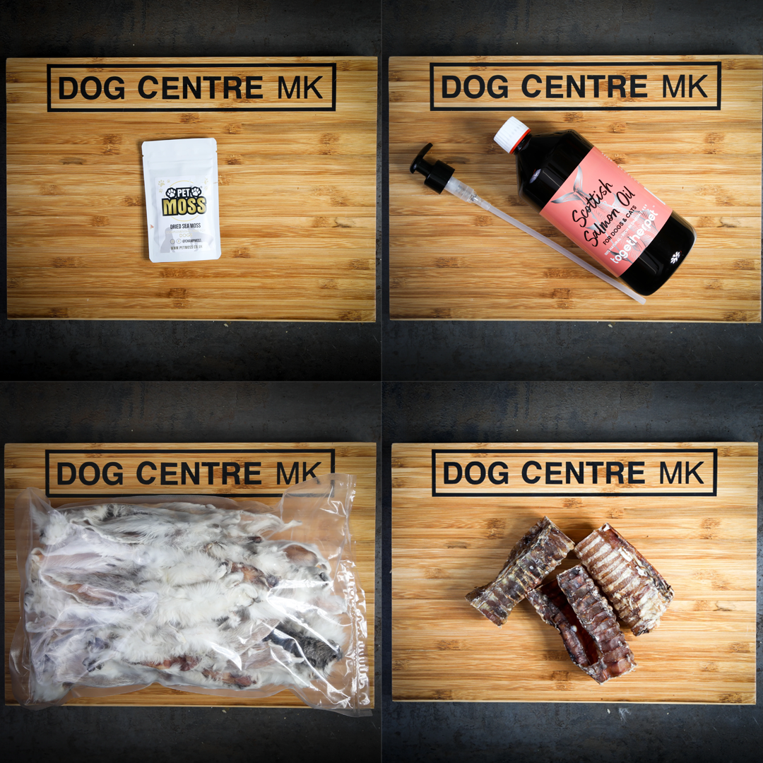 Dog Health Kick Bundle